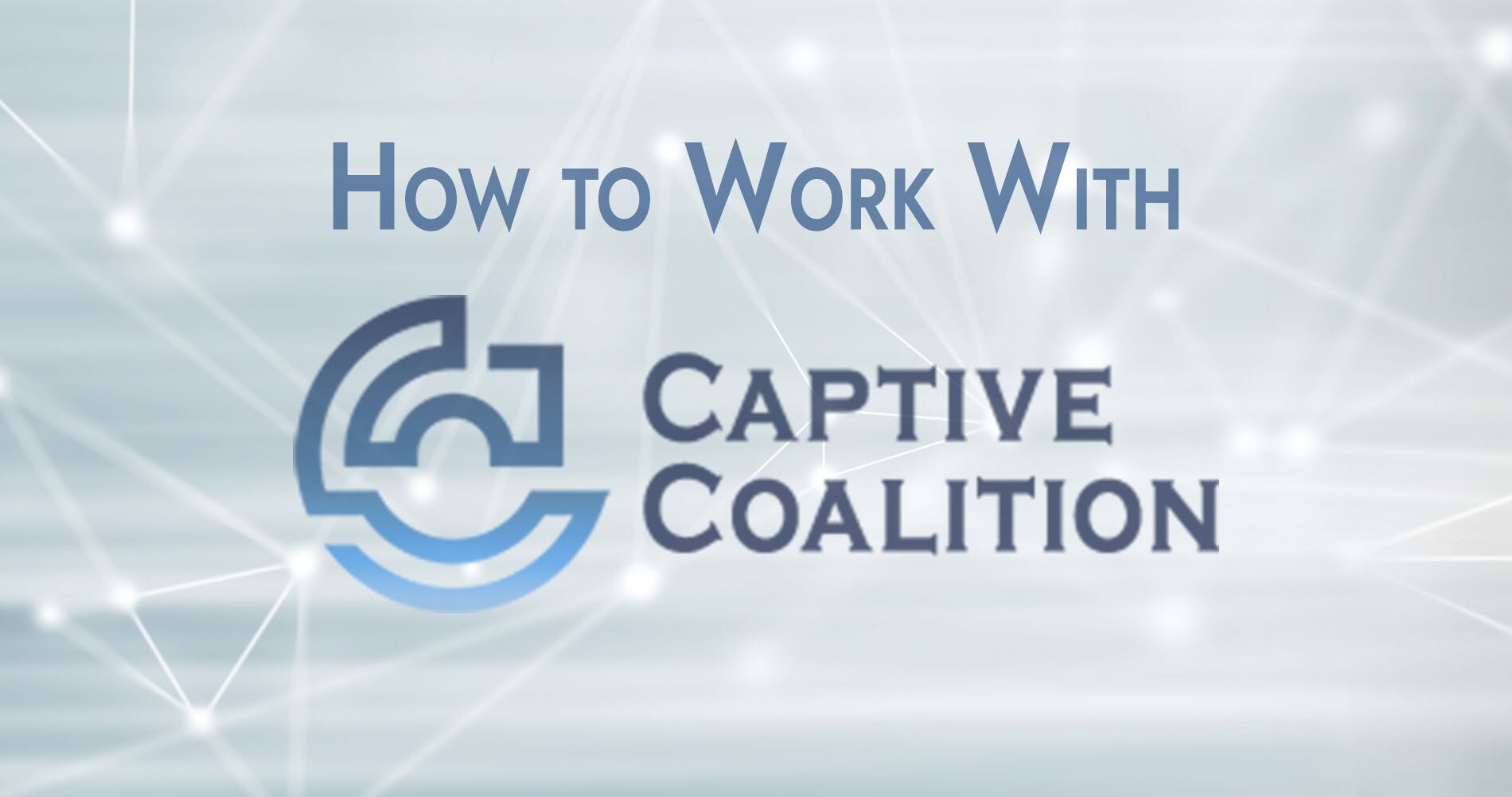 How To Work With Captive Coalition As An Independent Agent Hero Image